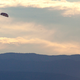 Illustration for article titled NASAs Orion Capsule Makes Perfect Test Landing, Minus A Few Parachutes